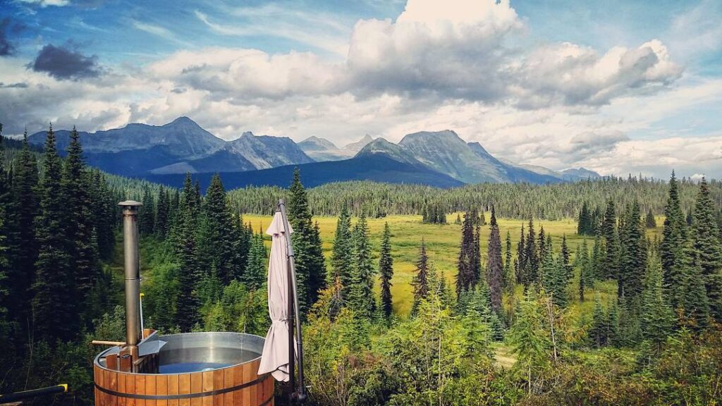 Mountain landscape with dense evergreen forest, a grassy meadow, and a cloudy sky. A wooden hot tub is in the foreground, creating a serene scene.