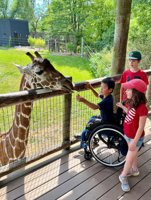 A young girl, a boy in a wheelchair, and another boy are standing on a wooden deck at a zoo. They are all looking at and feeding a giraffe over a fence.
