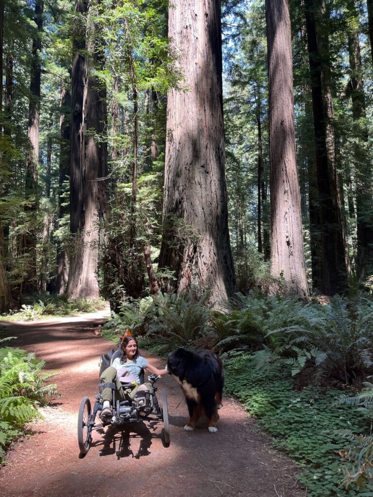 A person sits in a recumbent trike on a dirt path in a redwood forest. They are smiling and petting a large Bernese Mountain Dog who stands next to the trike. The sun shines through the canopy, illuminating the ferns and lush ground cover.