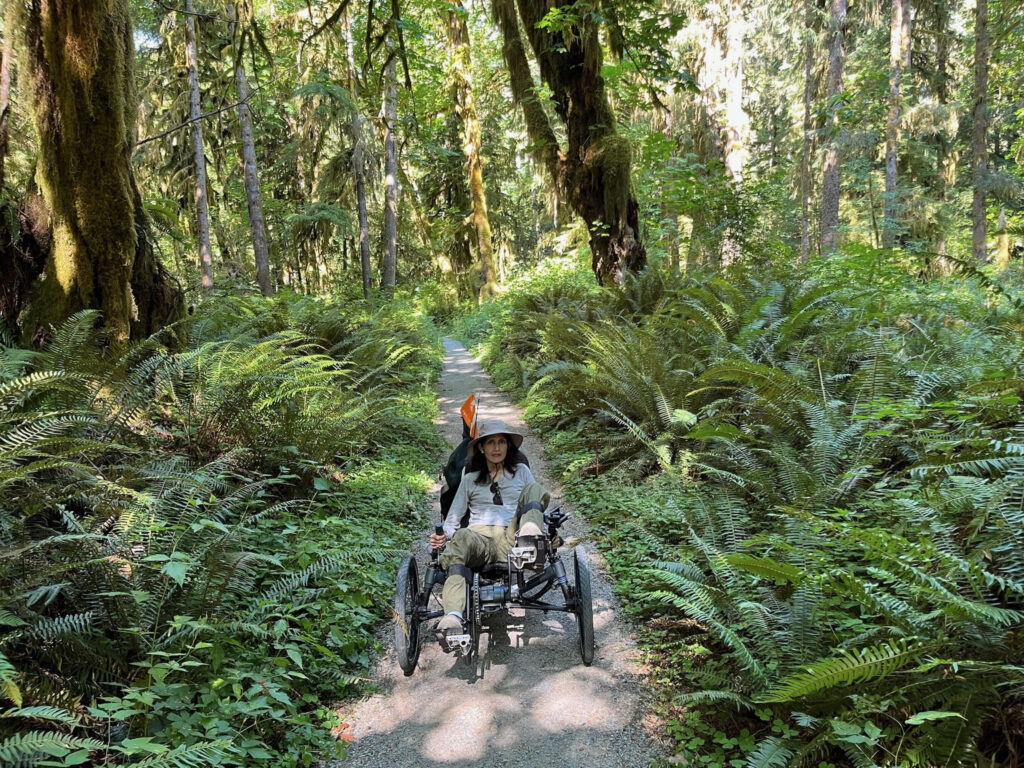 A person sits in a recumbent trike on a sun-dappled trail in a thick rainforest. They are looking at the camera and are surrounded by dense ferns and tall, moss-covered trees.