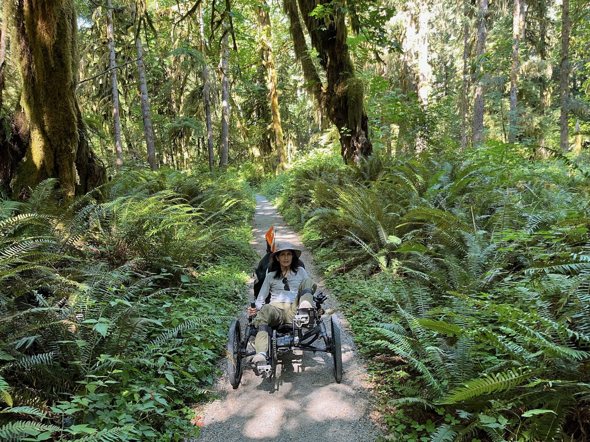 A person sits in a recumbent trike on a sun-dappled trail in a thick rainforest. They are looking at the camera and are surrounded by dense ferns and tall, moss-covered trees.