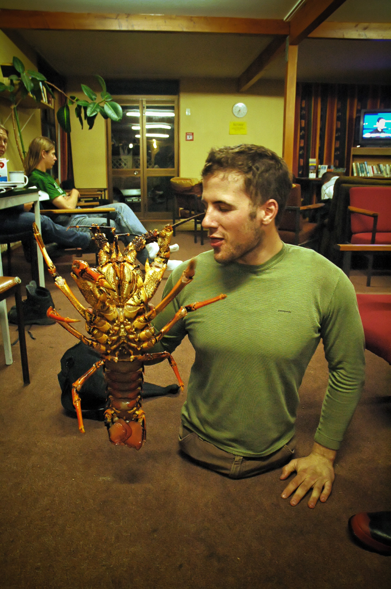 A man in a green shirt kneeling indoors looks at a giant lobster he is holding, with other people sitting in the background of a cozy wooden room.
