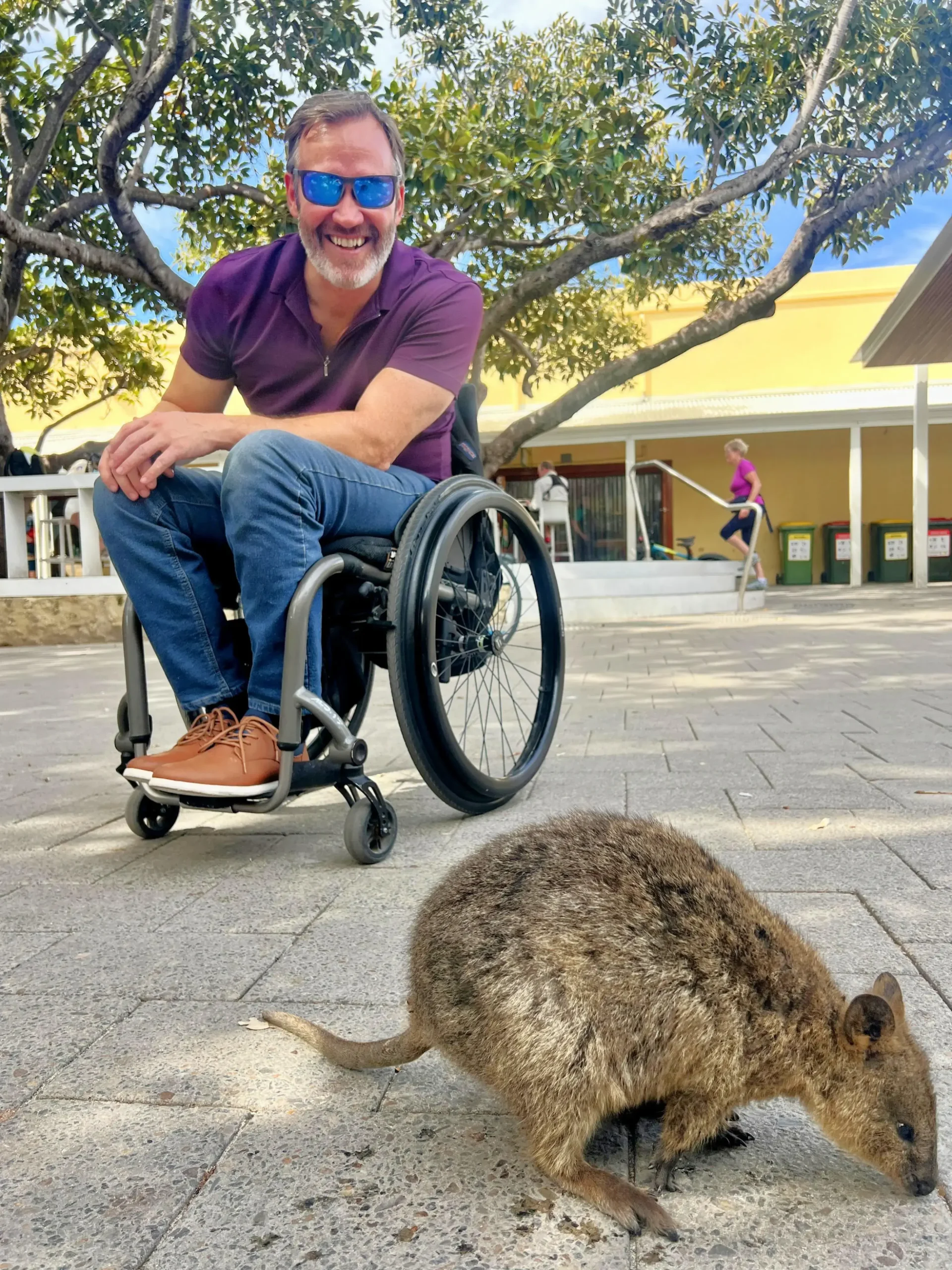 A cheerful man with a graying beard and blue sunglasses, sitting in a manual wheelchair, smiles broadly at the camera. In the foreground, a small, furry quokka is foraging on the paved ground. The scene is outdoors under the shade of a large tree with a yellow building in the background.