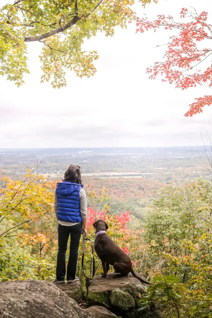A woman in a blue quilted vest and a chocolate Labrador retriever stand on a rocky outcrop, looking out over a vast valley of autumn forest. The trees below show a mix of green, yellow, and vibrant red leaves under a soft, hazy sky. Framed by overhanging maple branches in the foreground.