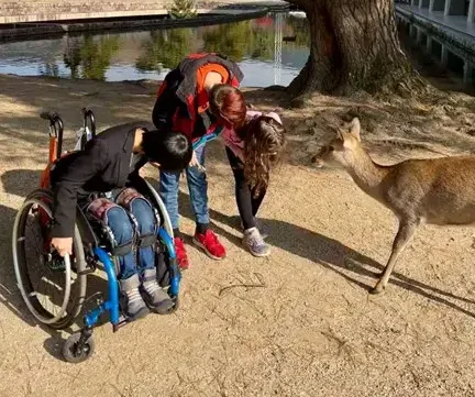 A sunny outdoor scene where three children are interacting with a wild deer under the shade of a large, leaning pine tree. One child in a blue wheelchair leans forward to look at the deer, while two other children bend down beside him. A tan-colored deer stands calmly on the dirt path facing them. In the background, a pond and traditional Japanese park buildings are visible.