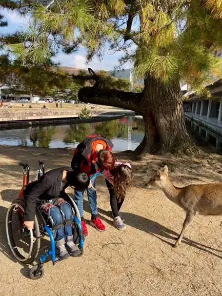 A sunny outdoor scene where three children are interacting with a wild deer under the shade of a large, leaning pine tree. One child in a blue wheelchair leans forward to look at the deer, while two other children bend down beside him. A tan-colored deer stands calmly on the dirt path facing them. In the background, a pond and traditional Japanese park buildings are visible.