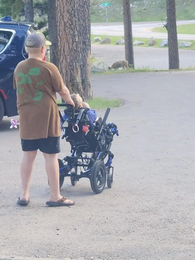 A boy in a brown t-shirt, black shorts, and a baseball cap is seen from behind, pushing a blue motorized wheelchair along a paved path. In the background, tall pine trees and a grassy area are visible, with a deer grazing quietly in the distance.