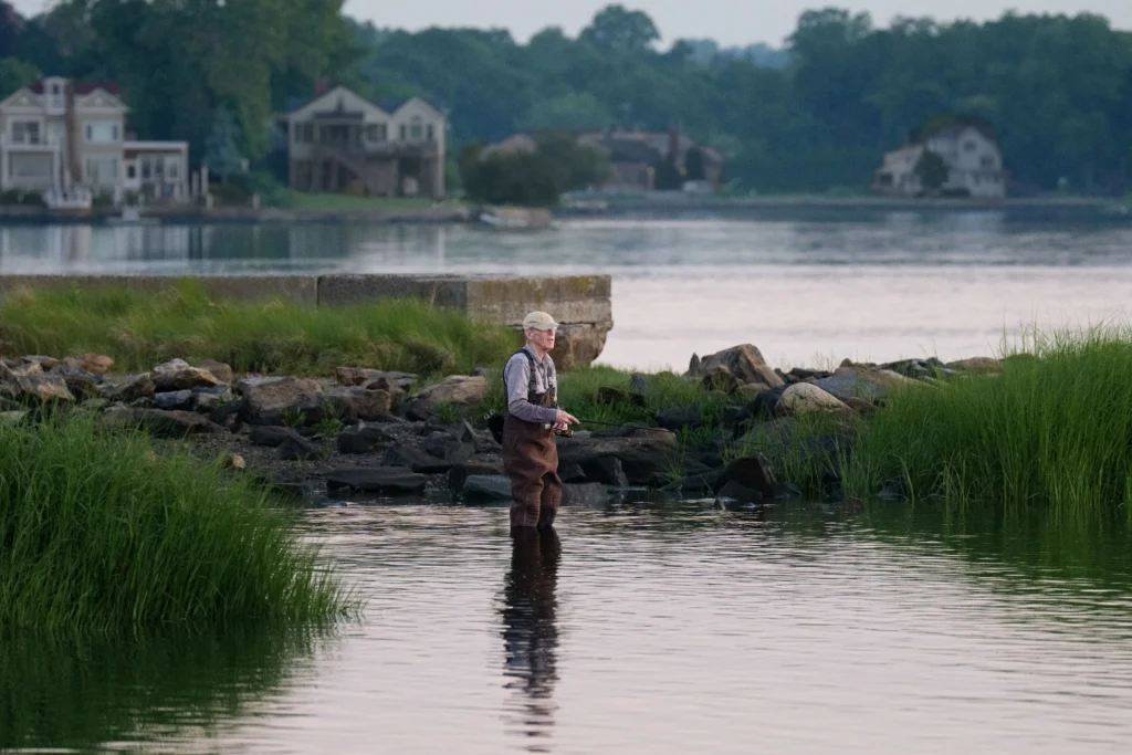 A fisherman wearing chest waders standing in calm shallow river water while fly fishing.